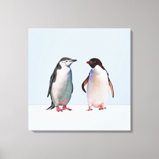 Mooie pinguïn koppel op licht periwinkleblauw canvas afdruk (Voorkant)