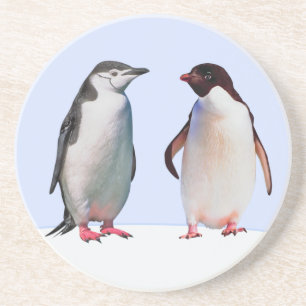 Mooie pinguïn vogelkoppel op lichtblauw zandsteen onderzetter