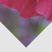 Mooie PiNk & Paarse Poppy Flower Tissuepapier (Detail)