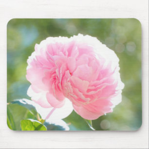 Mooie Pink Peony Flower in Sunlight Muismat