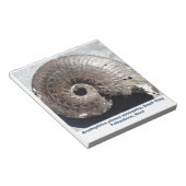 Mooie pirietammonietfossielen met beelden notitieblok (Schuin)