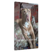 Mooie Pit Bull Klembord (Rechts)