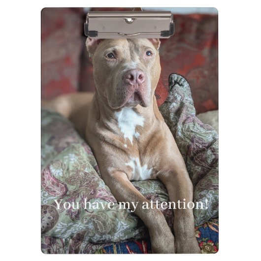 Mooie Pit Bull Klembord (Voorkant)