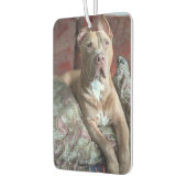 Mooie Pit Bull Luchtverfrisser (Links)