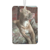Mooie Pit Bull Luchtverfrisser (Achterkant)