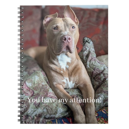 Mooie Pit Bull Notitieboek (Voorkant)