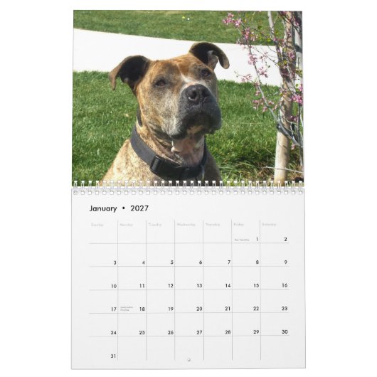 Mooie Pitbulls 2013 Dog Calendar Kalender (Jan 2027)