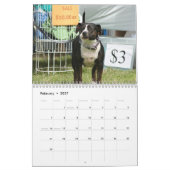 Mooie Pitbulls 2013 Dog Calendar Kalender (Feb 2027)