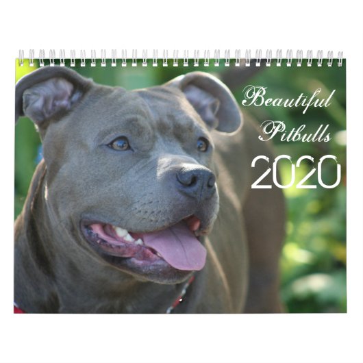 Mooie Pitbulls 2020 Dog-agenda Kalender (Hoes)