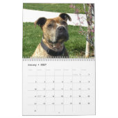 Mooie Pitbulls 2020 Dog-agenda Kalender (Jan 2027)