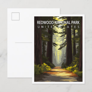 Mooie plaats Redwood National Park USA Reizen Briefkaart
