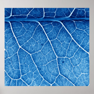 Mooie Planten close-up textuur achtergrond Poster