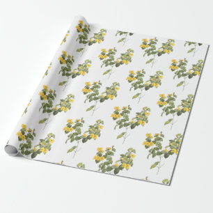 Mooie plat-erwt Bloempatroon Cadeaupapier