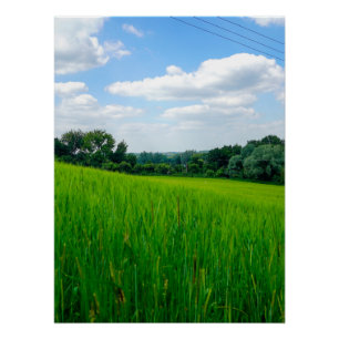 Mooie platteland perfect poster