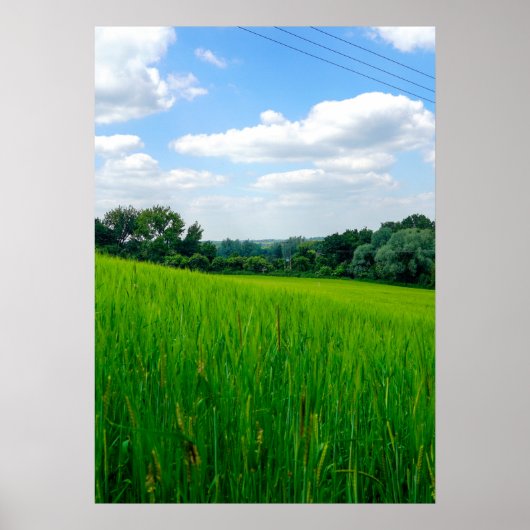 Mooie platteland poster (Voorkant)