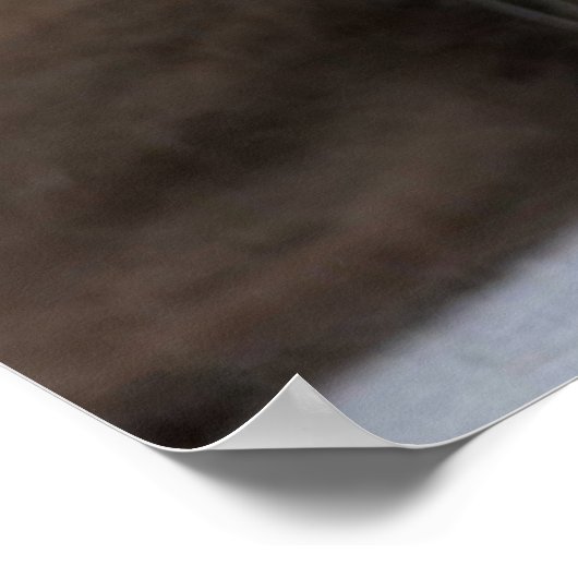 Mooie pluizige huiskat op grijze blauwe achtergron poster (Hoek)