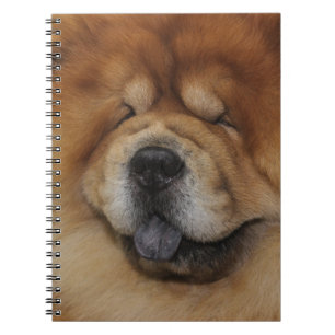 MOOIE PLUIZIGE RODE CHOW CHOW HOND NOTITIEBOEK