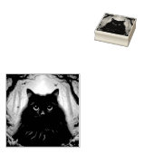 Mooie pluizige zwarte kat met ogen rubberstempel (Gestempeld)