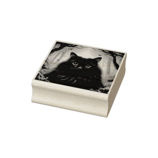 Mooie pluizige zwarte kat met ogen rubberstempel (Stempel)
