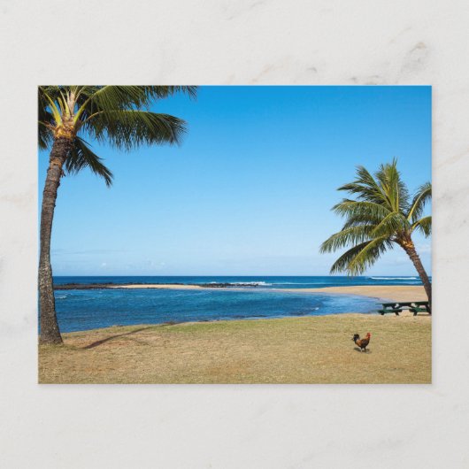 Mooie Po'ipu Beach, Kaua'i, Hawaii Briefkaart (Voorkant)