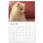 Mooie Pommershond Hondenmuur Kalender (Feb 2027)