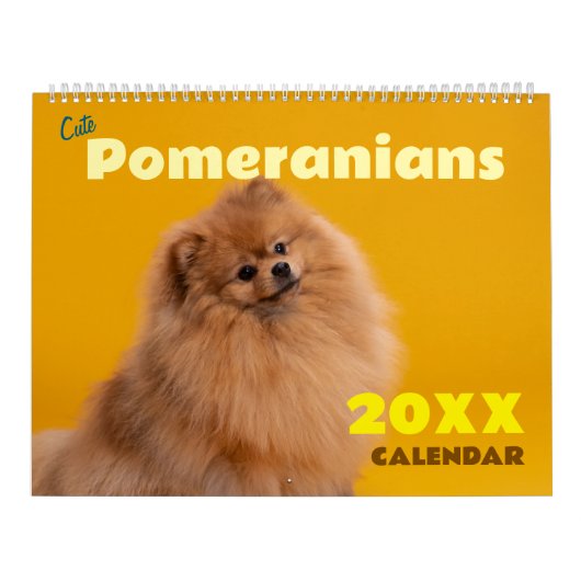 Mooie Pommershond Hondenmuur Kalender (Hoes)