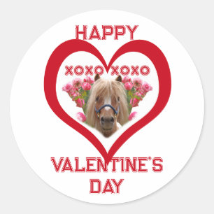 Mooie pony in het rood Valentijnsdag voor kinderen Ronde Sticker