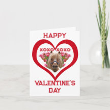 Mooie pony op Valentijnskaarten voor kinderen in h