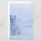 Mooie poolvos briefpapier (Voorkant / Achterkant)