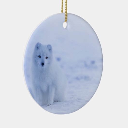 Mooie poolvos keramisch ornament (Rechts)