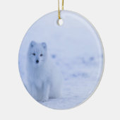 Mooie poolvos keramisch ornament (Links)