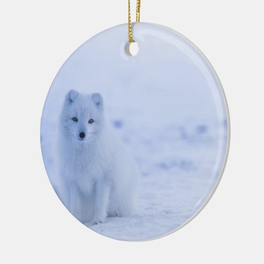 Mooie poolvos keramisch ornament (Links)