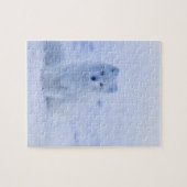 Mooie poolvos legpuzzel (Horizontaal)