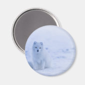 Mooie poolvos magneet (Voorkant / Achterkant)