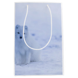 Mooie poolvos medium cadeauzakje