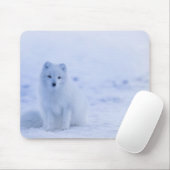Mooie poolvos muismat (Met muis)