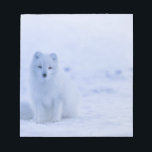 Mooie poolvos notitieblok<br><div class="desc">Het ontwerp bevat een foto van een poolvos op IJsland.</div>