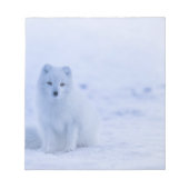 Mooie poolvos notitieblok (Voorkant)