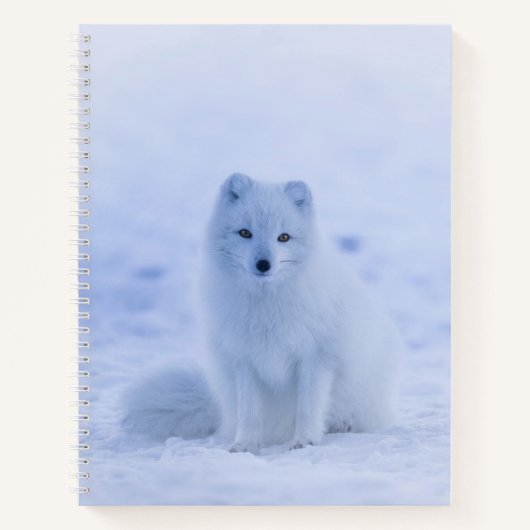 Mooie poolvos notitieboek (Voorkant)