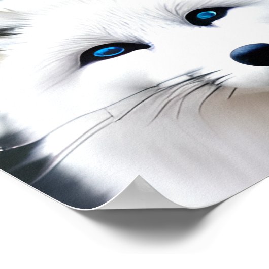 Mooie poolvos poster (Hoek)