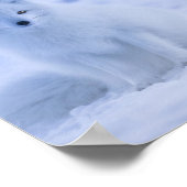 Mooie poolvos poster (Hoek)