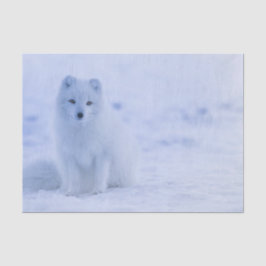 Mooie poolvos tissuepapier