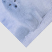 Mooie poolvos tissuepapier (Detail)