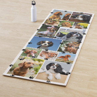 Mooie Pootafdrukken 14 Huisdierfoto's Yogamat
