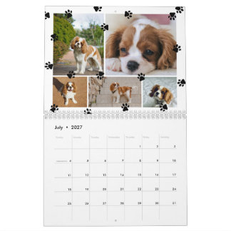 Mooie Pootafdrukken Foto Collage Huisdieren Kalender