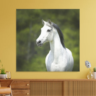 Mooie portret van witte paard groene achtergrond canvas afdruk