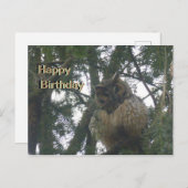 Mooie Postkaart Lange Ooruil Verjaardag (Voorkant / Achterkant)