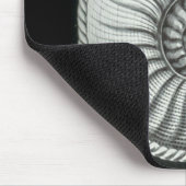 Mooie potloodtekening van Amaltheus ammoniet Muismat (Hoek)