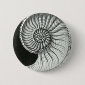 Mooie potloodtekening van Amaltheus ammoniet Ronde Button 5,7 Cm (Voorkant)