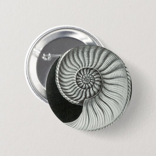 Mooie potloodtekening van Amaltheus ammoniet Ronde Button 5,7 Cm (Voorkant /achterkant)